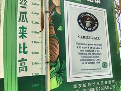 -北戴河集发农业梦想王国