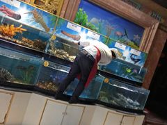 -皇宫大酒店