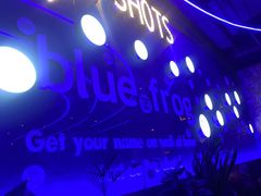 -bluefrog蓝蛙(皇庭广场店)