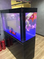 点击看大图 -AC TATTOO 纹身