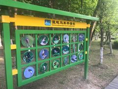 -长广溪湿地公园