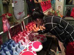 -猫咪博物馆(顶澳仔猫街店)