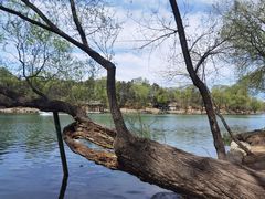 -承德避暑山庄景区