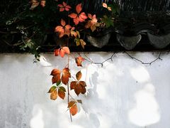 -锦溪古镇