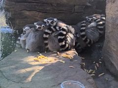 -秦皇岛野生动物园