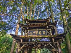 -青城山