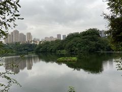 -重庆彩云湖湿地公园