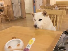 -柴の食堂·日式家庭料理·熊之肆(大学路店)