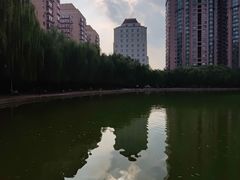 -团结湖公园