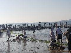-那香海钻石沙滩浴场