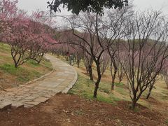 -无锡梅园公园
