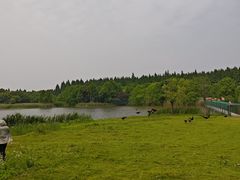 -东平国家森林公园