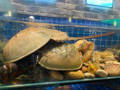 水产区-健眺小海鲜(临海后山店)