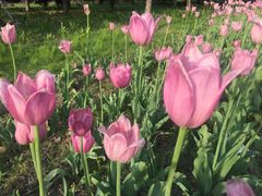 -长春公园(普阳街道)