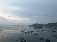 -枸杞岛