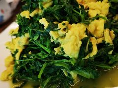 -沙洲胡杨焖饼