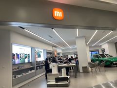 -小米之家汽车(永旺梦乐城店)