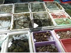 -霞涌市场海鲜摆卖区