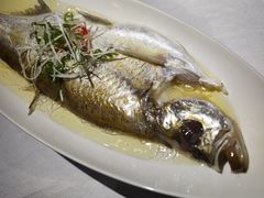 -一品江南韵·淮扬菜