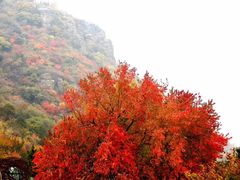 -香山公园