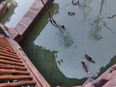 -长鹿旅游休博园
