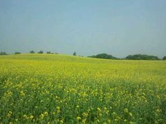 -御道口草原森林风景区-游客咨询处