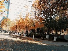 -北京化工大学(东校区)