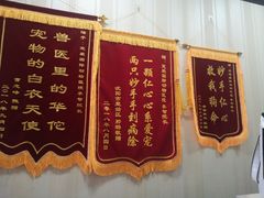 -宠爱国际动物医院· 猫科· 外科·中兽医(长白店)