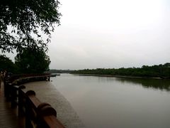 -东寨港红树林旅游区