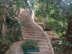 -南山植物园