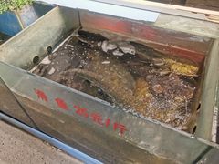 -新珠城鱼坊(龙湖店)