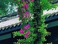 -大妙火锅·非物质文化遗产(东湖公园店)