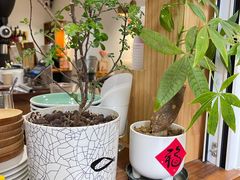 -Line 咖啡(石厦花园店)