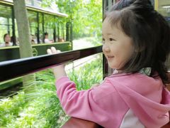 -合肥滨湖国家森林公园