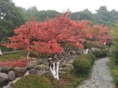 -昆山城市公园