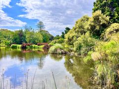 -墨尔本皇家植物园