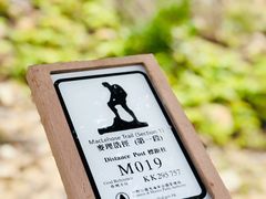 -浪茄湾