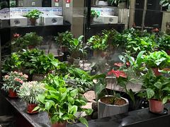 -自助火锅筷乐食代自助餐厅(金辰店)