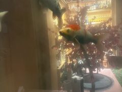 -琴寿司居酒屋(中山广场店)
