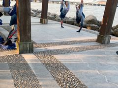 -吴淞炮台湾湿地森林公园烧烤区