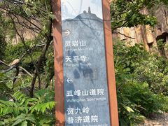 -灵岩山风景区