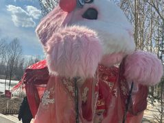 -大青山野生动物园
