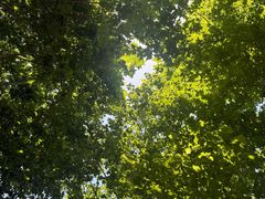 -南京财经大学(仙林校区)
