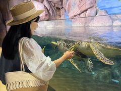 -福州罗源湾海洋世界旅游区