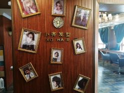 -小齐发型Star·Salon