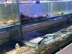 -四海蒸鲜蒸汽海鲜自助(北戴河店)