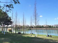 -眉山湿地公园(东坡区)