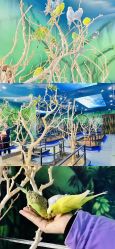 -未来动物城动物主题公园(大悦城店)