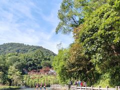 -广州市帽峰山景区
