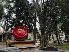 -瑞丽独树成林风景区